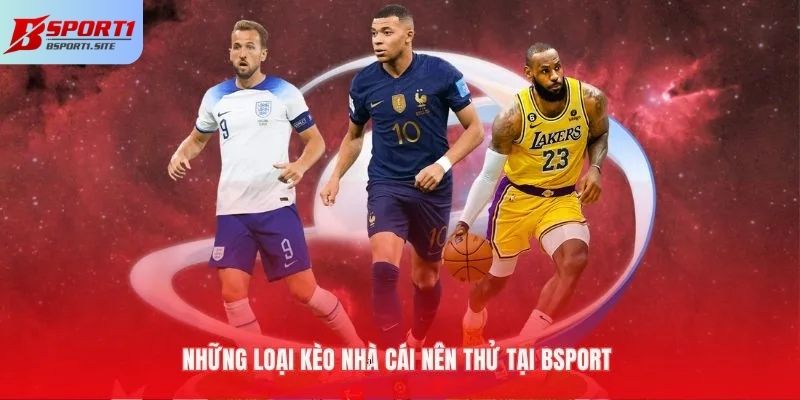 Nhiều loại kèo nhà cái được các cược thủ yêu thích trên thị trường